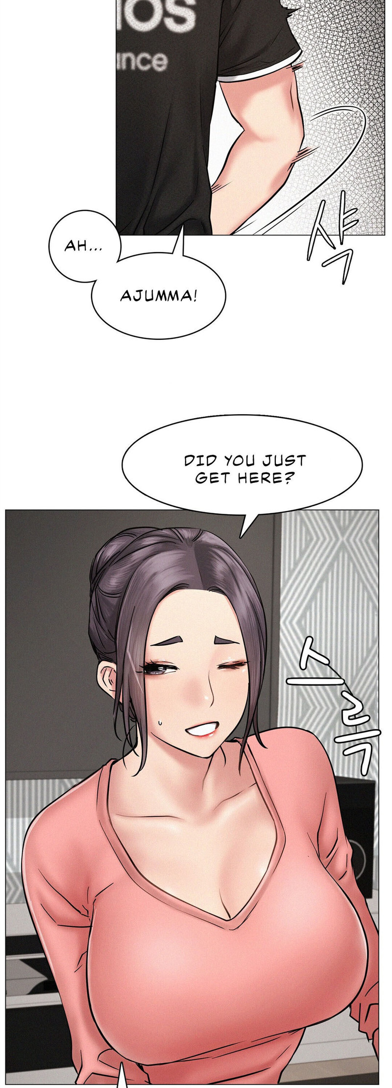 Staying with Ajumma Chapter 3 - Page 5