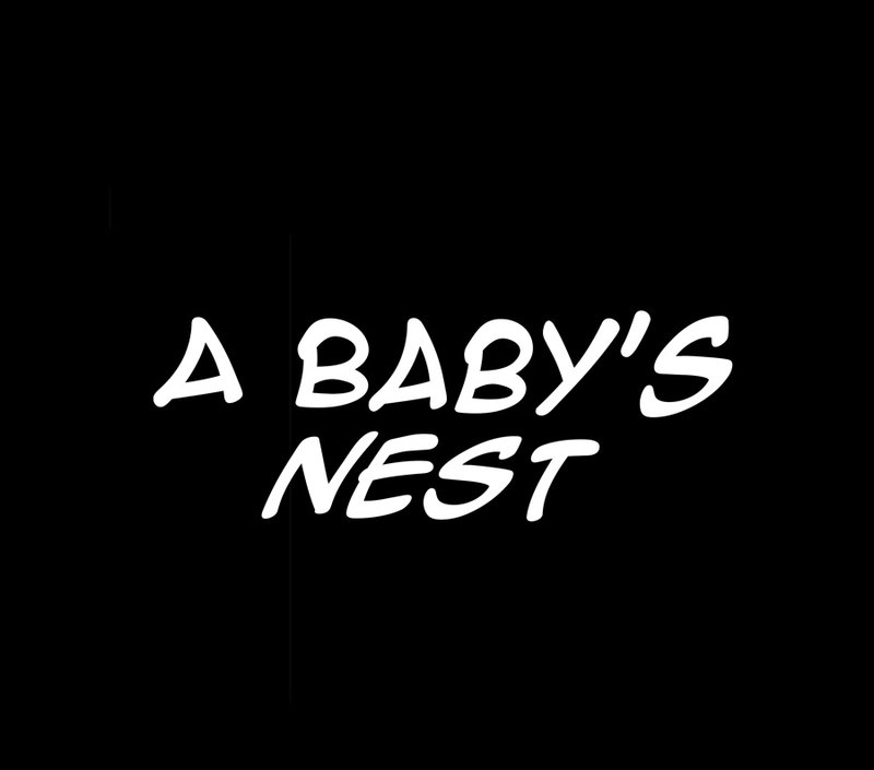 A Baby’s Nest Chapter 15 - Page 1