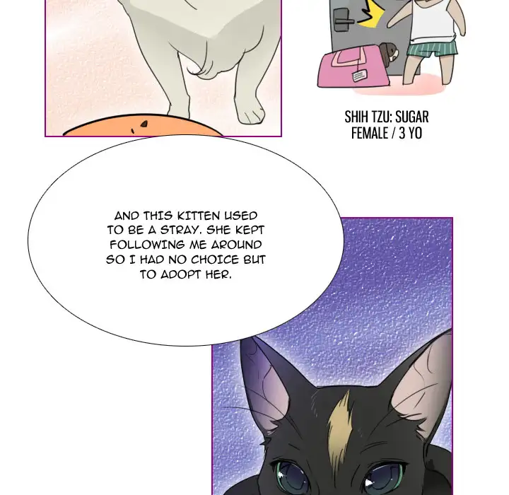 Sugar 'N Spice Chapter 1 - Page 17