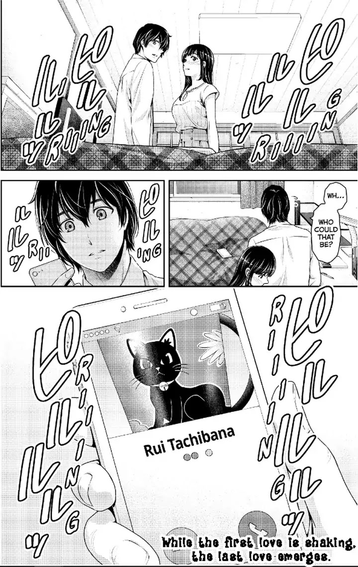 Domestic na Kanojo Chapter 237 - Page 19